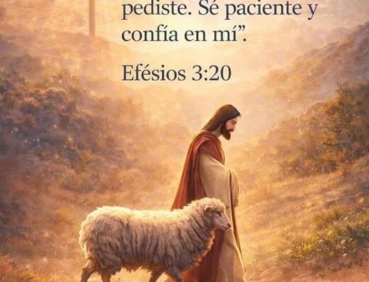 Prueba 15